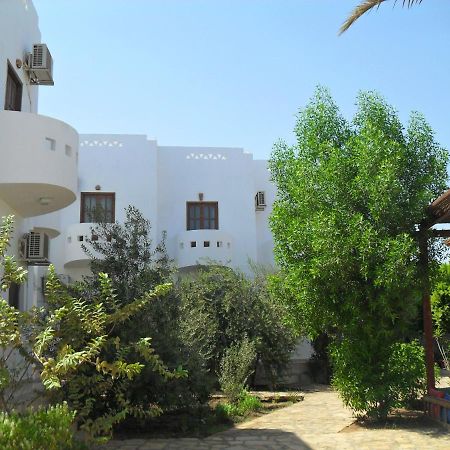 Alaska Camp & Hotel Dahab Habitación foto